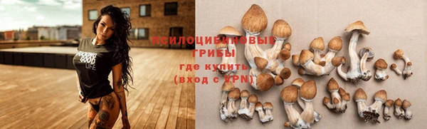 прущий лед Армянск