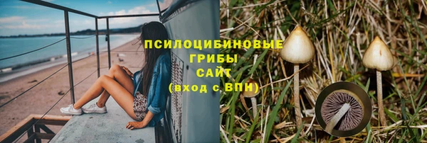 прущий лед Армянск