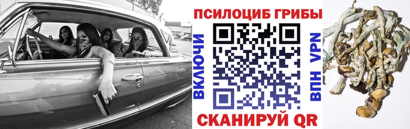 Галлюциногенные грибы GOLDEN TEACHER  Ахтубинск 