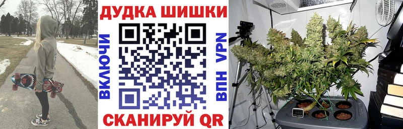купить наркотики цена  Ахтубинск  Марихуана THC 21% 